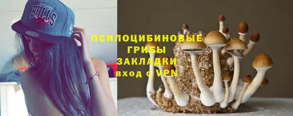 тгк Переславль-Залесский