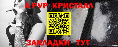 ECSTASY Нальчик