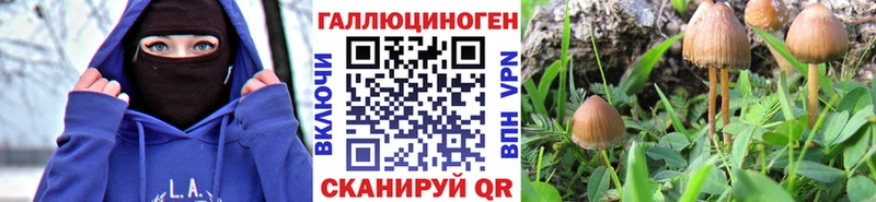 хочу Узловая Галлюциногенные грибы ЛСД