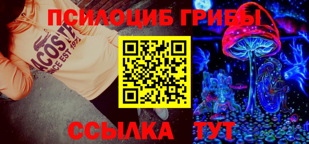 Псилоцибиновые грибы Psilocybe Узловая